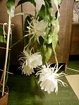     
: DSC00026.JPG
: 67
:	85.5 
ID:	9615320