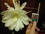     
: DSC01091.JPG
: 29
:	92.5 
ID:	9615333