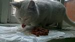     
: DSC_0765.jpg
: 17
:	78.6 
ID:	9618314