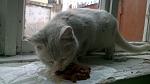     
: DSC_0767.jpg
: 17
:	78.2 
ID:	9618315