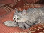     
: IMG_3940.jpg
: 21
:	176.6 
ID:	9621714