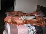     
: IMG_3939.jpg
: 15
:	143.5 
ID:	9621716