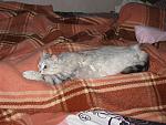     
: IMG_3938.jpg
: 15
:	191.1 
ID:	9621717
