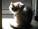     
: IMG_3954.jpg
: 14
:	136.6 
ID:	9621719
