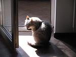    
: IMG_3953.jpg
: 14
:	116.9 
ID:	9621720