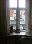     
: IMG_3743.jpg
: 221
:	62.0 
ID:	9624203
