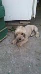     
: IMG_20140611_180315.jpg
: 25
:	63.6 
ID:	9633799