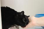     
: IMG_4856.jpg
: 5
:	56.0 
ID:	9637148