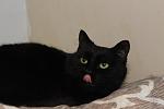    
: IMG_4778.jpg
: 7
:	56.4 
ID:	9637149
