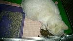     
: DSC_0784.jpg
: 26
:	109.6 
ID:	9639465