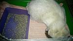     
: DSC_0783.jpg
: 13
:	94.0 
ID:	9639466