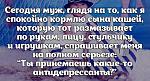     
: Fx-dMNXcAZk.jpg
: 18
:	80.1 
ID:	9641645