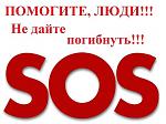     
: vJXYg-OPHBM.jpg
: 29
:	31.3 
ID:	9643983