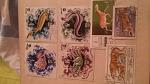     
: 20150318_205528.jpg
: 8
:	100.3 
ID:	9644961