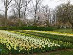     
: 20140401_120949.jpg
: 12
:	180.8 
ID:	9646706