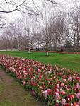     
: IMG-1396343968439-V.jpg
: 12
:	177.0 
ID:	9646709