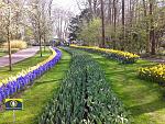     
: IMG-1396353806069-V.jpg
: 13
:	184.9 
ID:	9646713