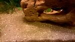     
: WP_20150331_21_58_45_Pro.jpg
: 24
:	106.5 
ID:	9648360