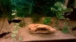     
: WP_20150331_21_58_20_Pro.jpg
: 20
:	107.8 
ID:	9648362