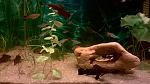     
: WP_20150331_21_59_02_Pro.jpg
: 16
:	113.8 
ID:	9648367