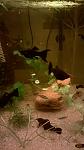     
: WP_20150331_21_58_32_Pro.jpg
: 22
:	62.2 
ID:	9648369