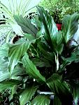     
: 20150402_102709.jpg
: 18
:	255.9 
ID:	9648694