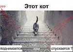     
: image1.jpg
: 20
:	75.1 
ID:	9651111