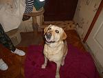     
: DSCN2155.jpg
: 24
:	100.2 
ID:	9658485