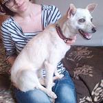     
: слонёнок.jpg
: 8
:	196.2 
ID:	9658689