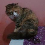     
: zwTBgVqz1P4.jpg
: 6
:	158.9 
ID:	9658717
