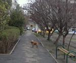     
: image.jpg
: 22
:	74.7 
ID:	9658731