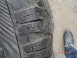     
: DSC03013.jpg
: 28
:	118.5 
ID:	9661399