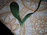     
: IMG_20150404_212230.jpg
: 18
:	215.4 
ID:	9662801