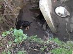     
: IMG_0430.jpg
: 4
:	161.4 
ID:	9664935