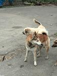     
: IMG_20150405_161326[1].jpg
: 125
:	132.2 
ID:	9665975