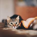     
: Fz10exVZBbo.jpg
: 7
:	40.1 
ID:	9667126