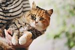     
: 9t-9qumbsuM.jpg
: 6
:	44.6 
ID:	9667152