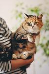     
: YpM9_hRiv3s.jpg
: 6
:	40.9 
ID:	9667153