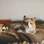    
: yKXF6UcFuXY.jpg
: 9
:	42.8 
ID:	9667157