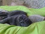     
: 20150101_100550.jpg
: 31
:	130.8 
ID:	9670232