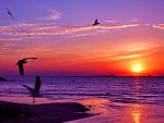     
: 1310732541_beautypic_ru-43.jpg
: 23
:	62.5 
ID:	9672434