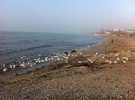     
: IMG_2957.jpg
: 4
:	205.7 
ID:	9674230