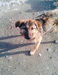     
: image.jpg
: 19
:	168.1 
ID:	9675093
