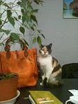     
: eiYCoNxJcWY.jpg
: 7
:	164.9 
ID:	9677214
