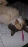     
: kAqZIAILbHQ.jpg
: 11
:	87.3 
ID:	9677215