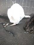     
: IMG_0315.jpg
: 25
:	119.6 
ID:	9678712