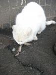     
: IMG_0316.jpg
: 21
:	111.0 
ID:	9678713