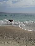     
: 20150405_132943.jpg
: 4
:	120.7 
ID:	9678832
