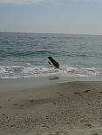     
: 20150405_133239-1.jpg
: 6
:	98.6 
ID:	9678834