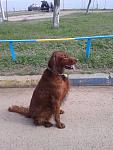     
: 20150405_140618.jpg
: 1
:	160.5 
ID:	9678835